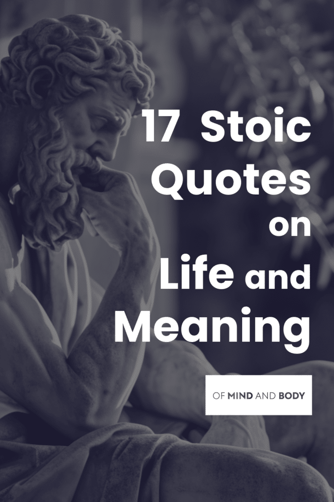 Stoic Quotes on Life and Meaning - Cover