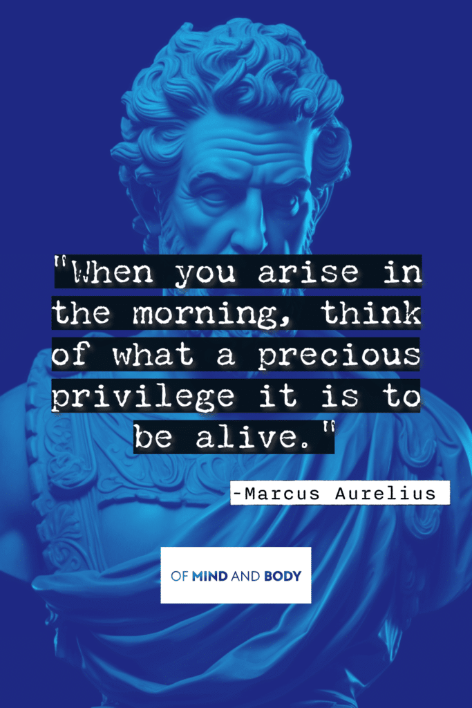 Stoic Quotes on Life - When you arise in the morning, think of what a precious privilege it is to be alive.