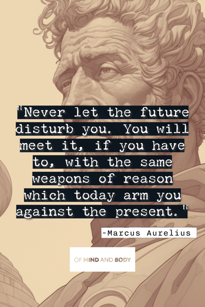 Stoic Quotes on Purpose : Never let the future disturb you. You will meet it, if you have to, with the same weapons of reason which today arm you against the present.