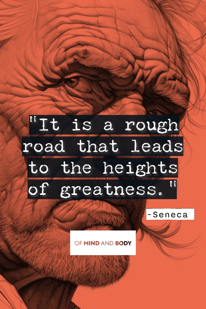 Stoic Quotes on Resilience It is a rough road that leads to the heights of greatness.