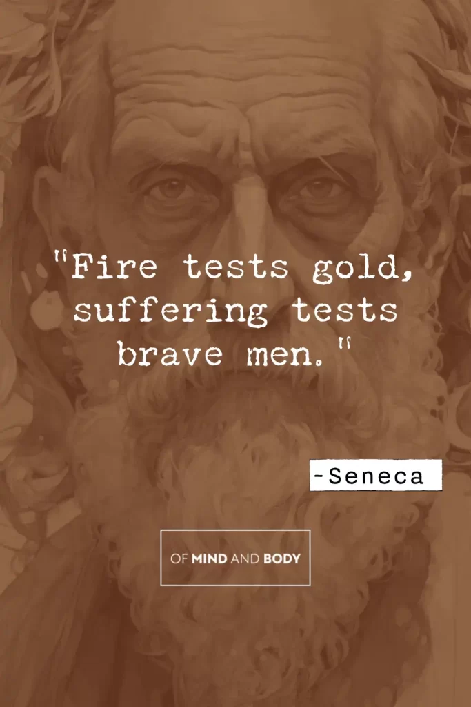 Stoic Quotes on Adversity - "Fire tests gold, suffering tests brave men."