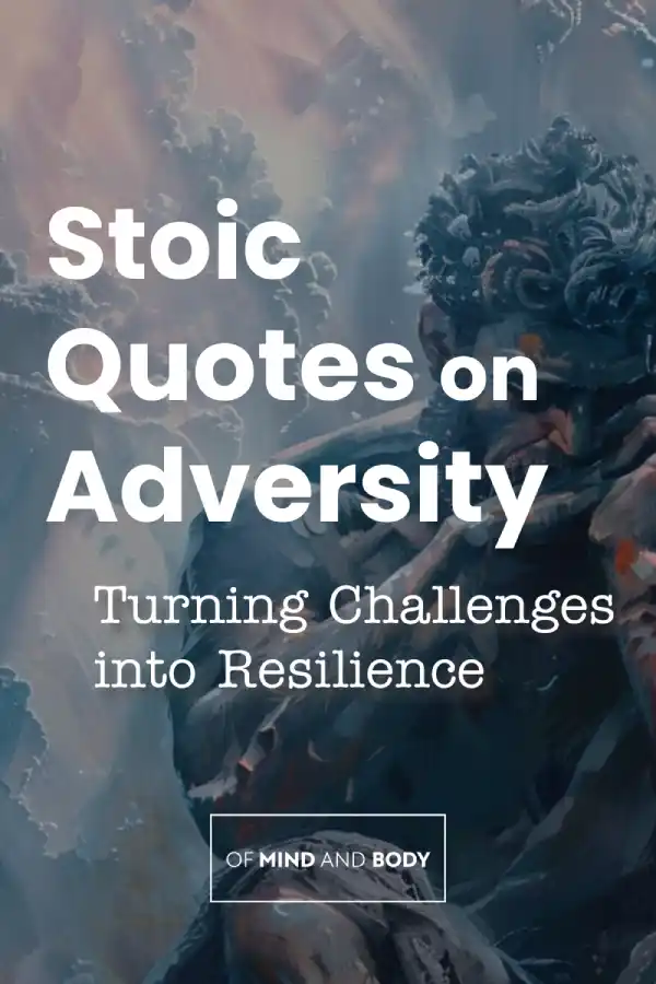 Stoic Quotes on Adversity_Pinterest